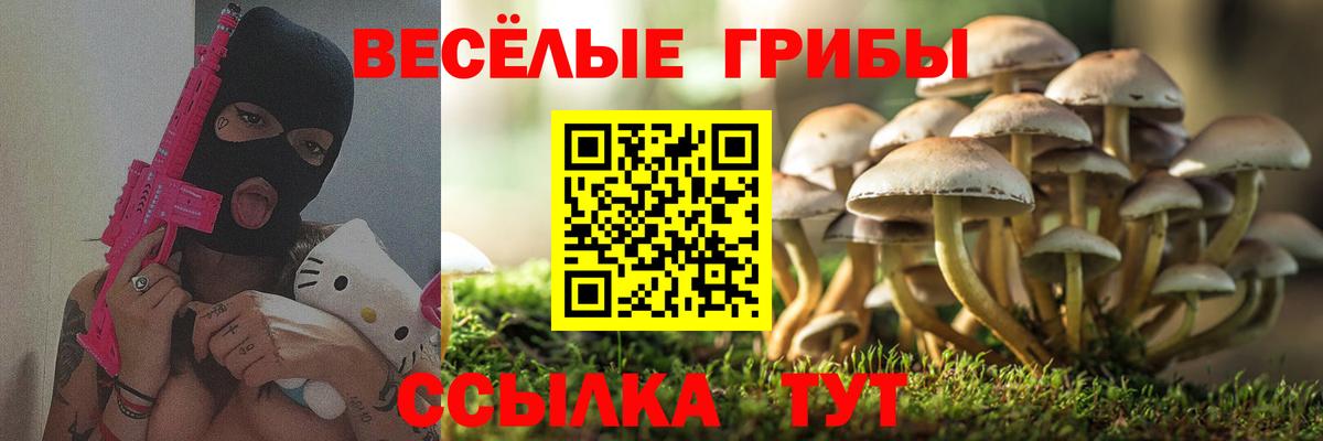 что такое   Псилоцибиновые грибы мицелий  Вход с VPN  Ноябрьск  Псилоцибиновые грибы GOLDEN TEACHER 